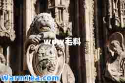 wow毛料