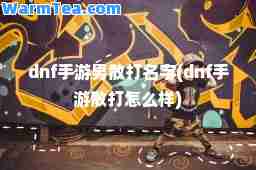 dnf手游男散打名字(dnf手游散打怎么样)