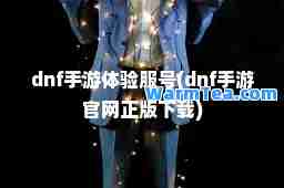 dnf手游体验服号(dnf手游官网正版下载)