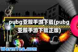pubg亚服手游下载(pubg亚服手游下载正版)