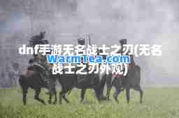 dnf手游无名战士之刃(无名战士之刃外观)