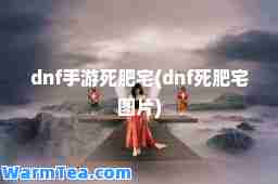 dnf手游死肥宅(dnf死肥宅图片)