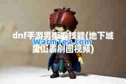 dnf手游男街霸技能(地下城男街霸刷图视频)
