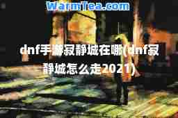 dnf手游寂静城在哪(dnf寂静城怎么走2021)