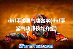 dnf手游男气功名字(dnf手游气功师技能介绍)