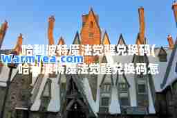 哈利波特魔法觉醒兑换码(哈利波特魔法觉醒兑换码怎么用)