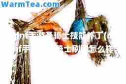 dnf手游圣骑士技能补丁(dnf手游女圣骑士刷图怎么样)