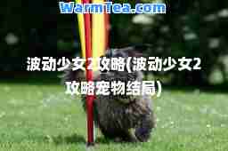 波动少女2攻略(波动少女2攻略宠物结局)