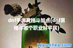 dnf手游男格斗加点(dnf男格斗哪个职业好平民)