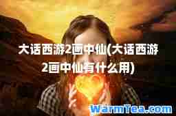 大话西游2画中仙(大话西游2画中仙有什么用)