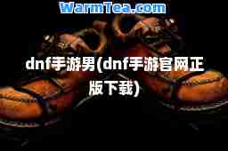 dnf手游男(dnf手游官网正版下载)