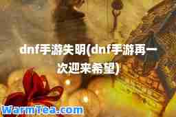 dnf手游失明(dnf手游再一次迎来希望)