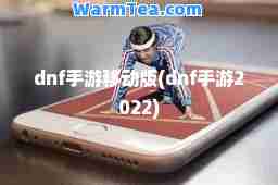 dnf手游移动版(dnf手游2022)