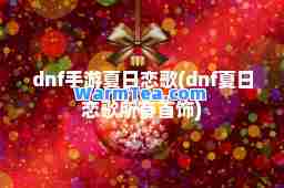 dnf手游夏日恋歌(dnf夏日恋歌所有首饰)