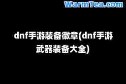 dnf手游装备徽章(dnf手游武器装备大全)