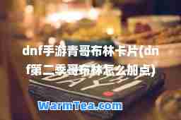 dnf手游青哥布林卡片(dnf第二季哥布林怎么加点)