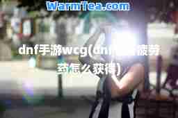 dnf手游wcg(dnf手游疲劳药怎么获得)