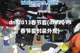 dnf2013春节套(dnf2013春节套时装外观)