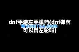 dnf手游左手弹药(dnf弹药可以用左轮吗)