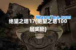绝望之塔17(绝望之塔100层奖励)