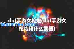 dnf手游女枪炮(dnf手游女枪炮用什么武器)