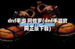 dnf手游 阿修罗(dnf手游官网正版下载)