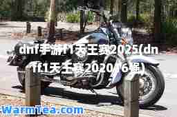 dnf手游f1天王赛2025(dnff1天王赛202016强)