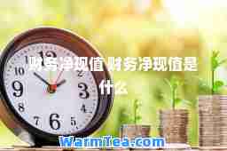 财务净现值 财务净现值是什么