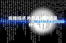 规模经济 外部规模经济是什么
