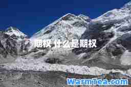 期权 什么是期权