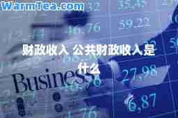 财政收入 公共财政收入是什么