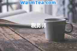 税务师
