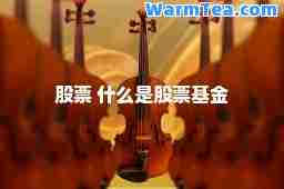 股票 什么是股票基金