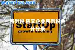 所得税 应交企业所得税会计分录