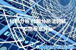 杜邦分析 杜邦分析法的核心指标是什么