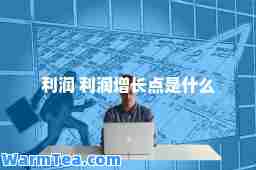 利润 利润增长点是什么