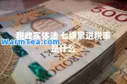 税收实体法 七级累进税率是什么