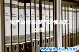 资产负债表 资产负债表怎么做