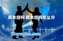 资本结构 资本结构怎么分析