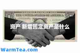 资产 新增固定资产是什么