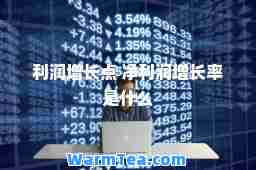 利润增长点 净利润增长率是什么