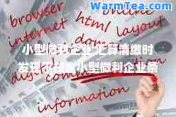小型微利企业 汇算清缴时发现不符小型微利企业条件的