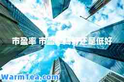 市盈率 市盈率高好还是低好
