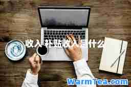 收入 补贴收入是什么