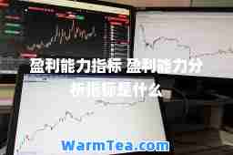 盈利能力指标 盈利能力分析指标是什么