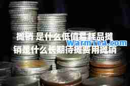摊销 是什么低值易耗品摊销是什么长期待摊费用摊销是