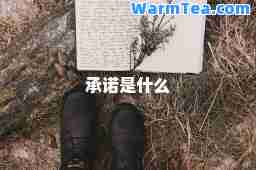 承诺是什么