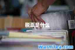 税票是什么
