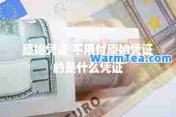 原始凭证 不用付原始凭证的是什么凭证