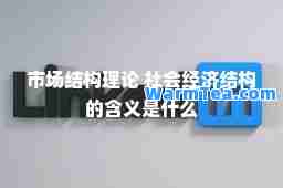 市场结构理论 社会经济结构的含义是什么